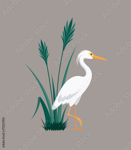 White heron standing near a bush, eps 10 format