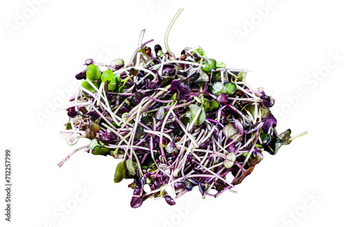 Raw Microgreen cress sprouts Transparent background. Isolated.