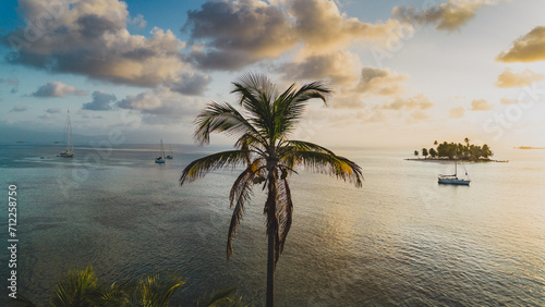 Palm Tree Aerial view, San Blas Islands
 photo
