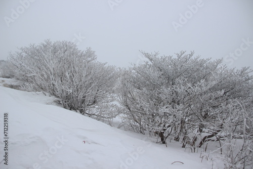 설원, snowy fields, snow covered fields © 락희 권
