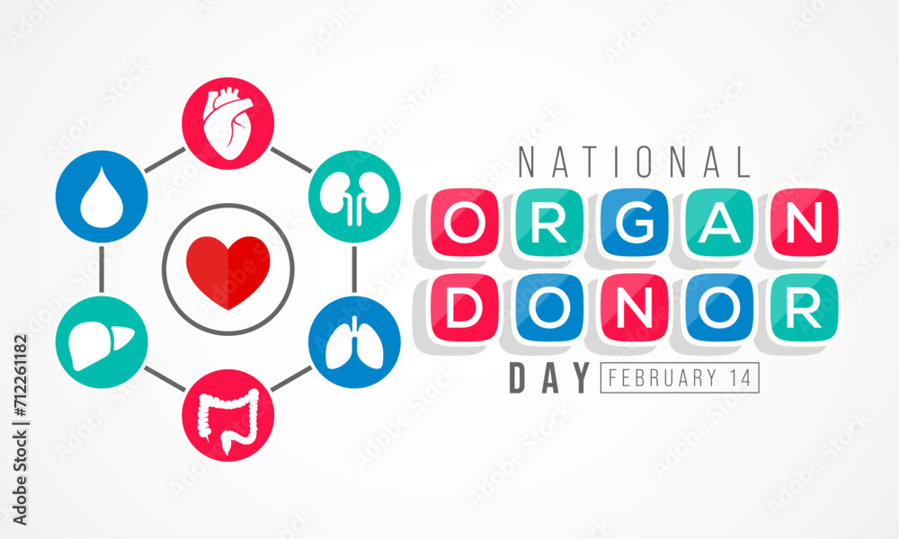 National Donor day is observed every year on February 14, dedicated to spreading awareness and education about organ, eye and tissue donation. Vector illustration National Donor day is observed every year on February 14, dedicated to spreading awareness and education about organ, eye and tissue donation. Vector illustration