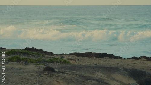 pan left across the rocky shore and turquoise waves of the Pacific ocean at Kaena Point Oaho Hawaii photo