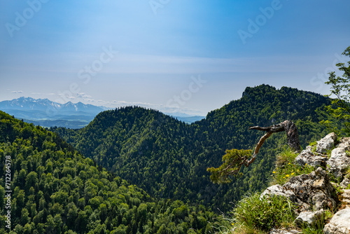 Beautiful panorama of the Pieniny Mountains. View from the top of Sokolica.