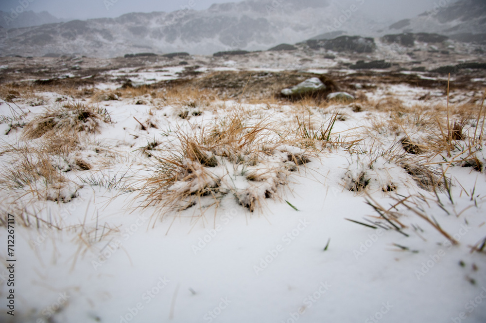 Pierwszy śnieg w górskich dolinach. - obrazy, fototapety, plakaty 