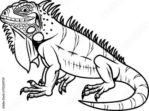 sketch of iguana