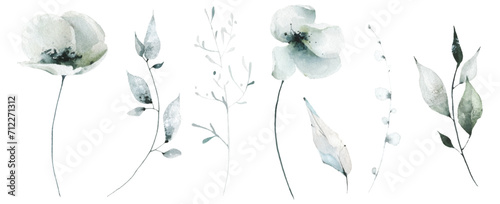 Watercolor floral set of blue, gray, turquoise poppy, rose, peony flowers. Traced vector watercolour clipart drawing. photo