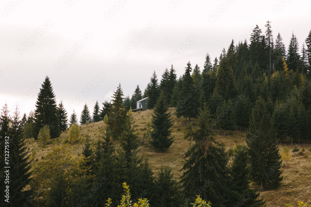 Misty foggy mountain landscape with fir forest and copyspace in vintage retro hipster style