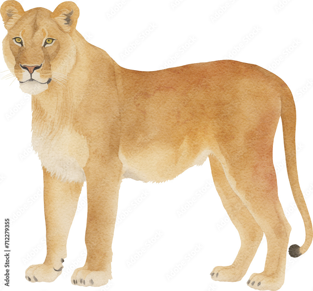 Obraz premium Lioness illustration created with Generative AI technology