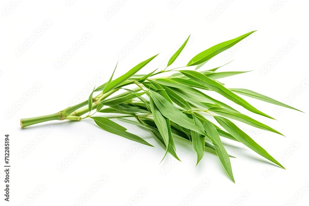 Fototapeta premium Green bamboo leaves on white background