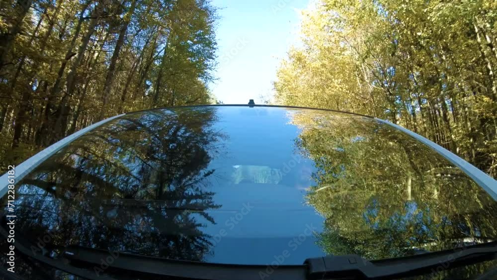Driving through forest with windshield reflection 4K. Camera on the car hood with the windshield in focus while driving through a forest with reflections and blue sky in the background.