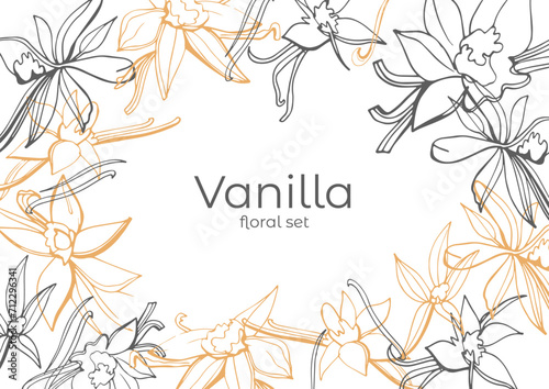 Isolated vector set of vanilla. Vanilla sticks, vanilla flower and pods. Aroma, food. Hand drawn. Vector hand drawn illustration of orchid Flower and pods on isolated background.