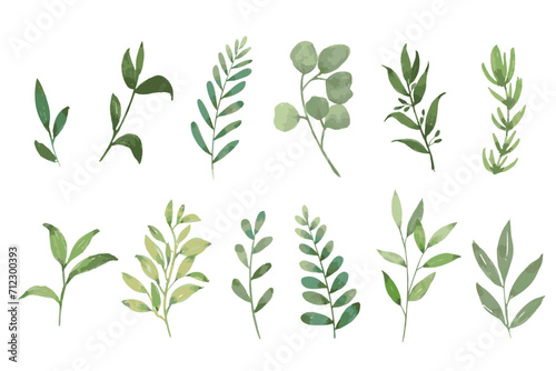 Set of watercolor green leaves elements. Collection botanical vector isolated on white background suitable for Wedding Invitation, save the date, thank you, or greeting card.