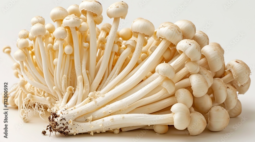 enoki mushrooms on a white background enoki mushrooms on a white background