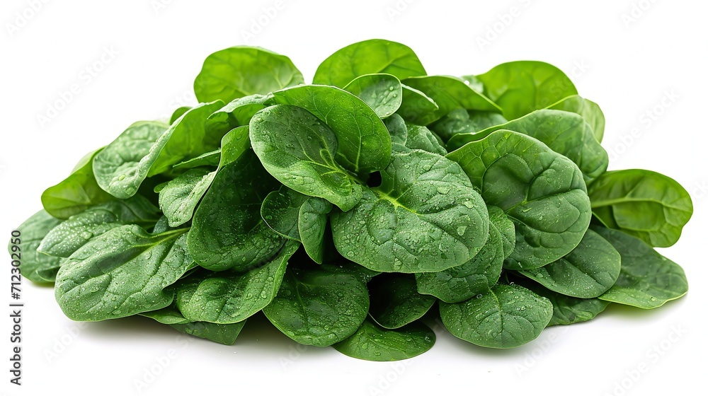 fresh spinach leaves isolated on white background fresh spinach leaves isolated on white background
