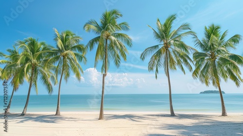 Coconut palm trees along the beach with blue sky and tropical island on background. Vacation in a tropical paradise. Space for text.