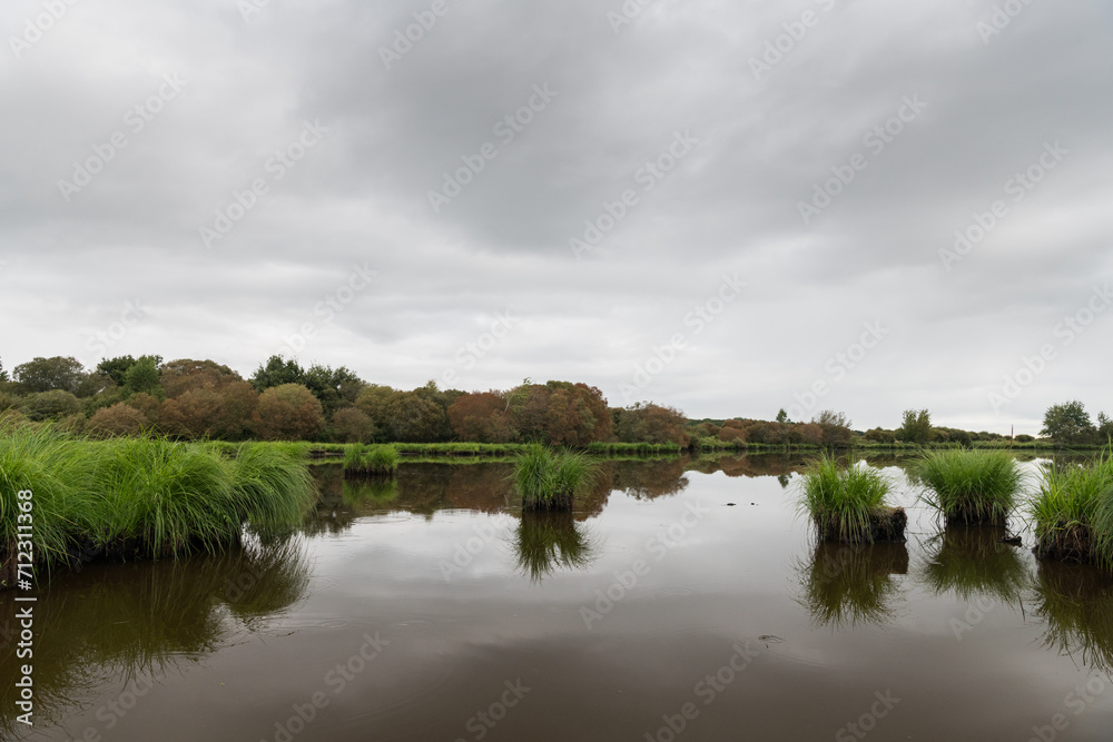 Wetland in Briere Regional Natural Park on a cloudy day in summer