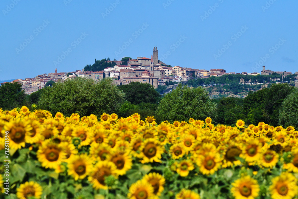 Obraz premium Castiglion Fiorentino e girasoli, Toscana