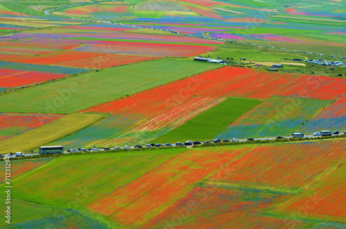 Castelluccio di Norcia, campi fioriti
