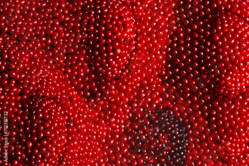 Textura de superfície de jujuba vermelha. 