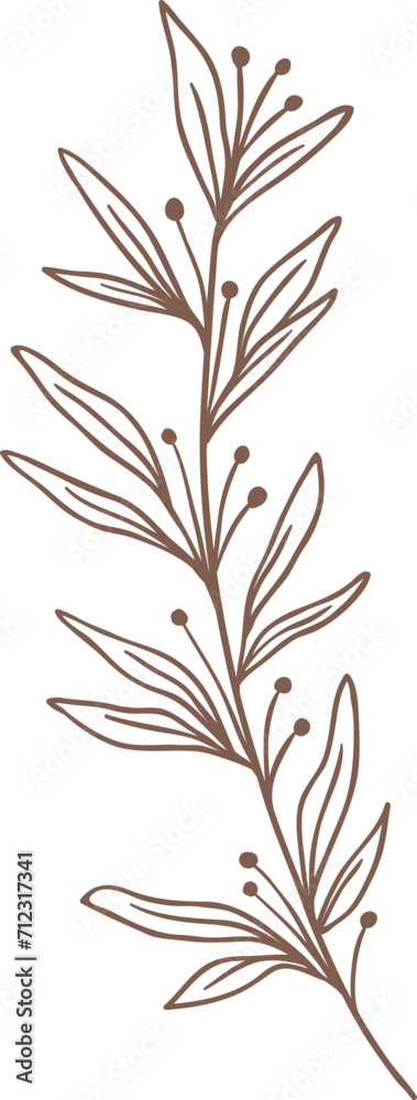 Line Drawing Leaves Branch Line Drawing Leaves Branch