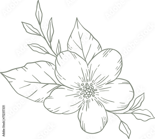 Fototapeta Naklejka Na Ścianę i Meble -  Line Drawing Flower