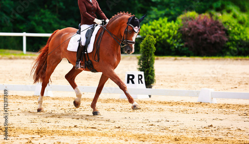 Horse, dressage horse with rider at a dressage tournament. © RD-Fotografie