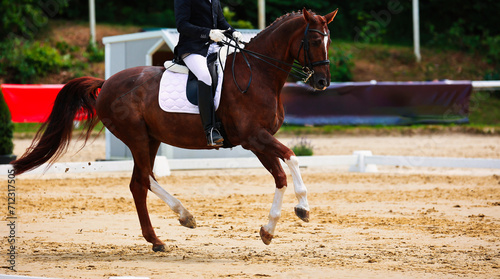 Horse, dressage horse with rider at a dressage tournament. © RD-Fotografie