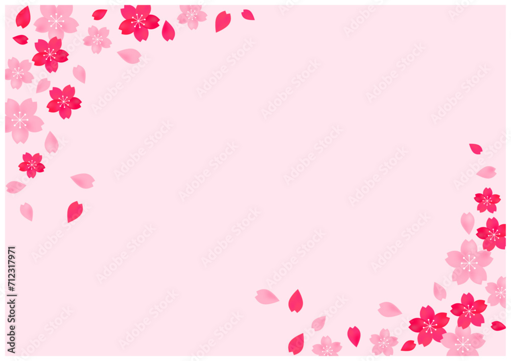 桜が美しい桜の花の散る春の和風フレーム背景4桜色