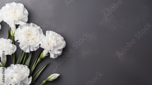 Minimalist Sympathy Condolences card. Carnations flowers on a muted grey background. Funeral concept. Copy space	
 photo