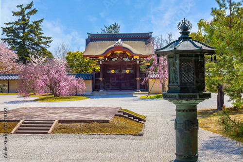 Daikakuji Temple in Kyoto, Japan with beautiful full bloom cherry blossom garden in spring  photo