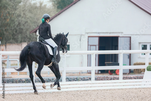 Equestrian sports, dressage, gallop. Black horse