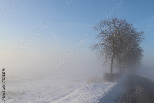 Trees past the road on a cold day in the Netherlands, during sunrise with snow and mist.