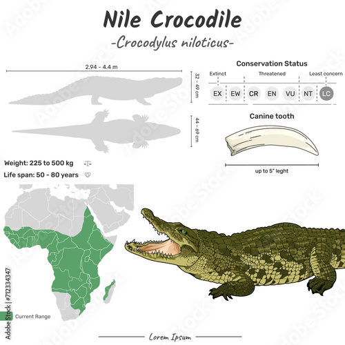 Crocodylus niloticus Nile crocodile geographic range
