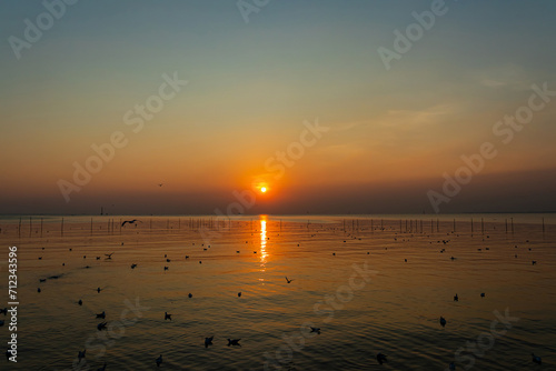Beautiful sunset over the sea with seagulls silhouette in flight over sea at Thailand.