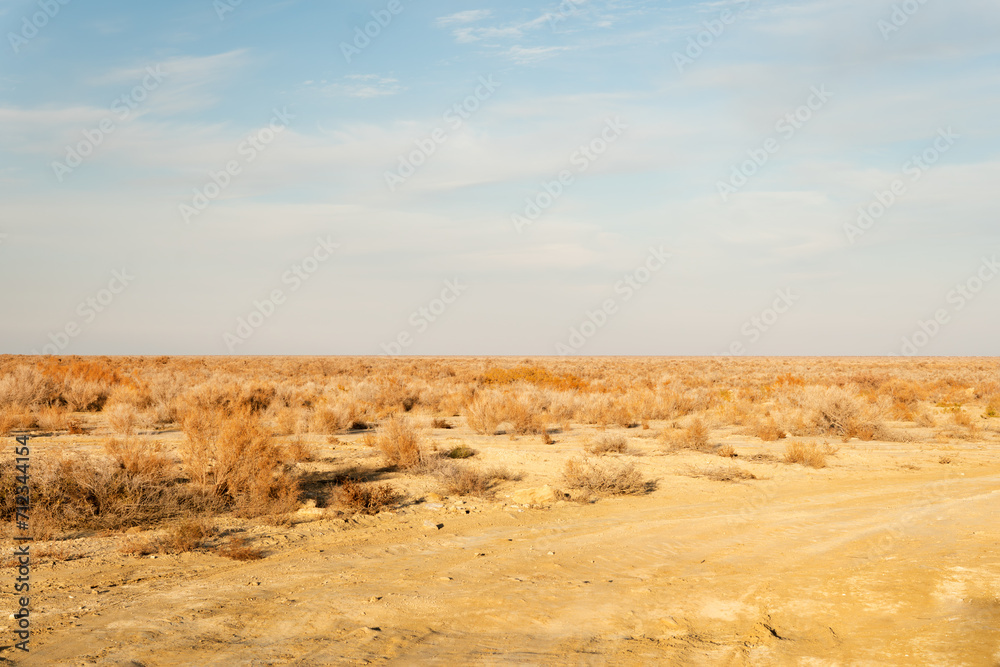 Sand dunes in Kyzylkum desert Kazakhstan. The vast desert of Central Asia