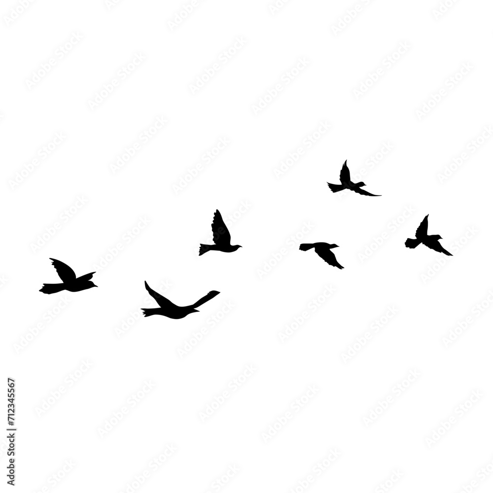 Flying Bird Silhouette Flying Bird Silhouette
