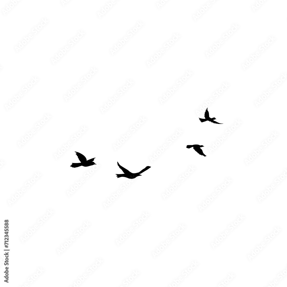 Flying Bird Silhouette