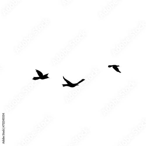 Flying Bird Silhouette