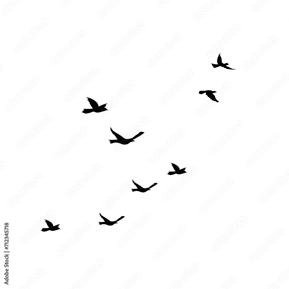 Obraz premium Flying Bird Silhouette