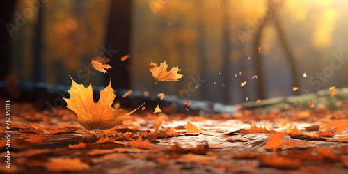 Autumn leaves are flying background .