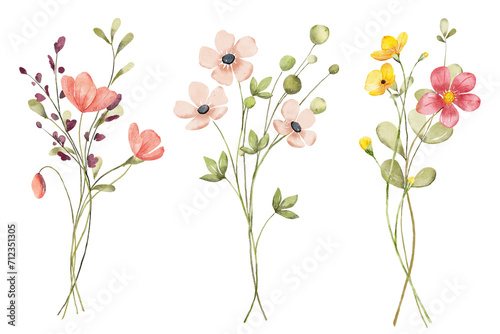 Wild flowers set, watercolor hand drawing, digital floral illustration. Bouquets background. 