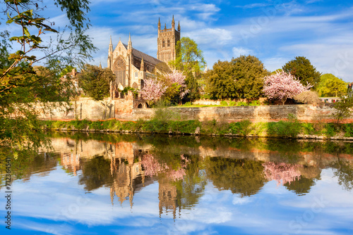 Worcester Cathedral on a sunny spring morning, with cherry blossom in bloom, and a reflection in the River Severn. photo