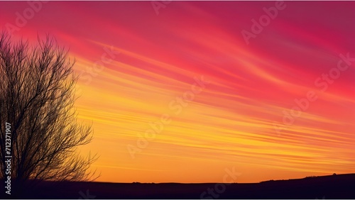 The vivid sunset sky transitioning from orange to purple behind the silhouette of a tree 