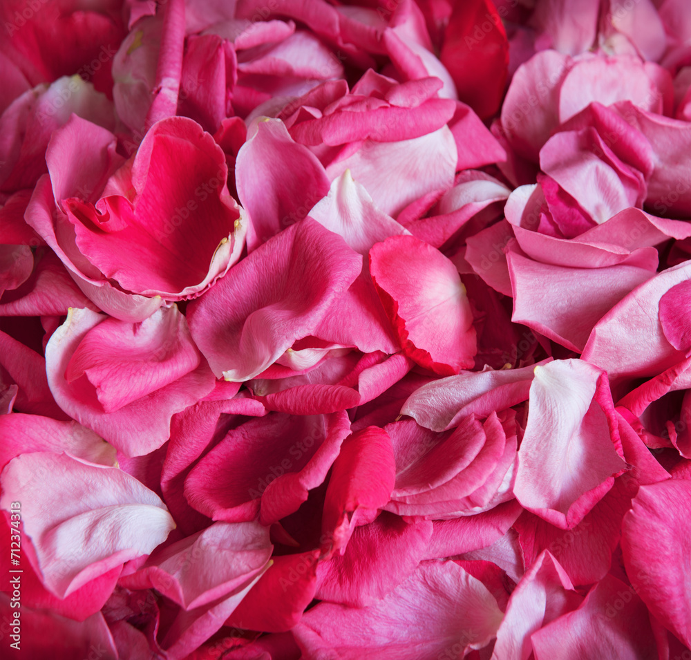 Natural background of rose petals Natural background of rose petals