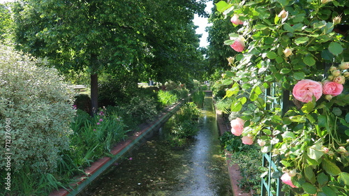 Bassin bordé d’arbres et de plantes, avec un rosier aux fleurs roses, au printemps, sur la Coulée verte René Dumont, jardin suspendu dans la ville de Paris (France)