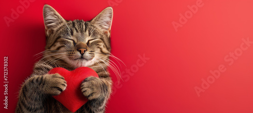 Cute cat with a red heart , isolated on red background: Ideal Template for Valentine's Day, Love, or Wedding Greeting Cards photo