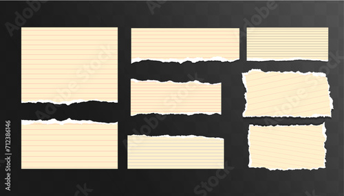 set of ripped paper sheets png isolated on transparent background. Vector illustration of torn blank pages with uneven texture edges. Damaged letter, document mockup, newspaper cutout