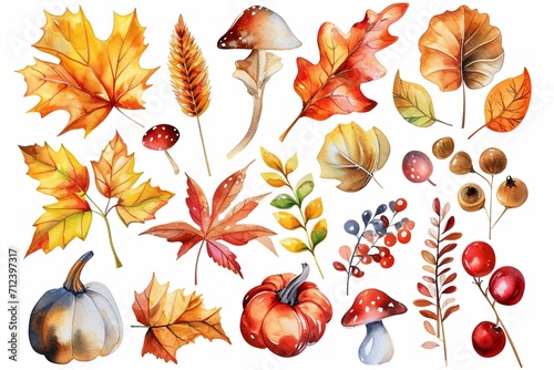 watercolor set vector illustration of autumn theme frame isolate on white background