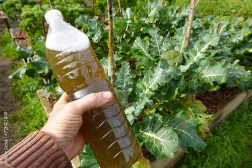 man holds bottle with liquid fertilizer to provide nitrogen, phosphorus and potassium to plants photo