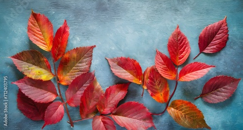 red autumn leaves